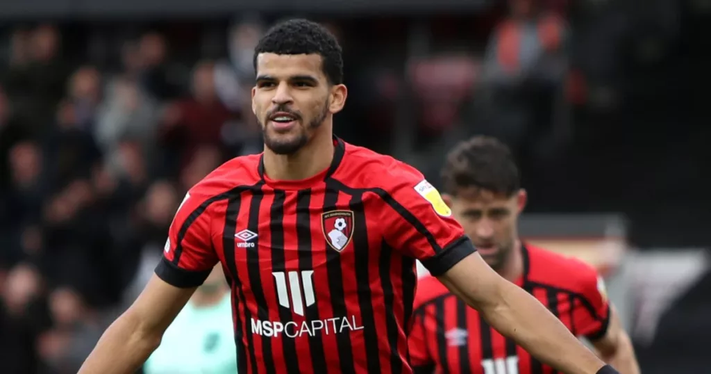 Forward - Dominik Solanke (AFC Bournemouth)