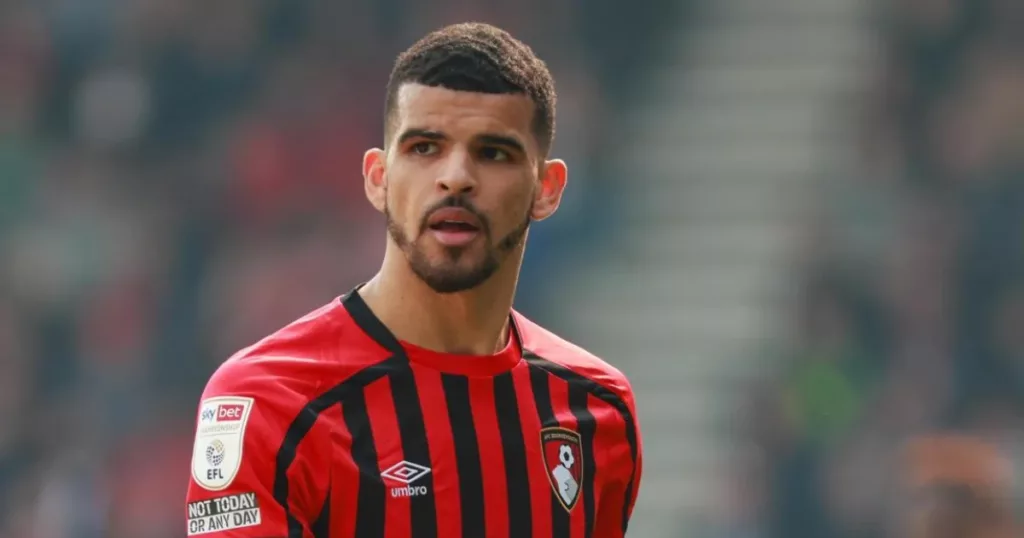 Fantasy Premier League Dominic Solanke (Bournemouth)