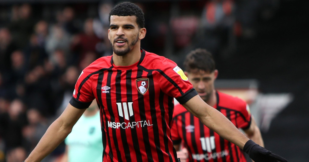 Dominic Solanke