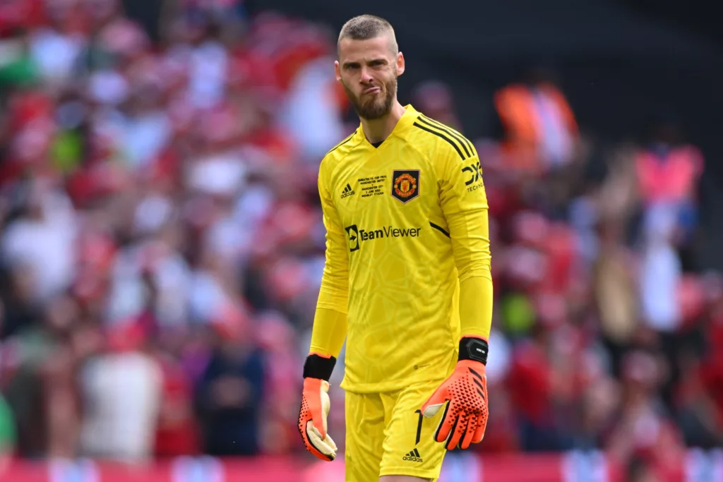 David De Gea in action for Manchester United