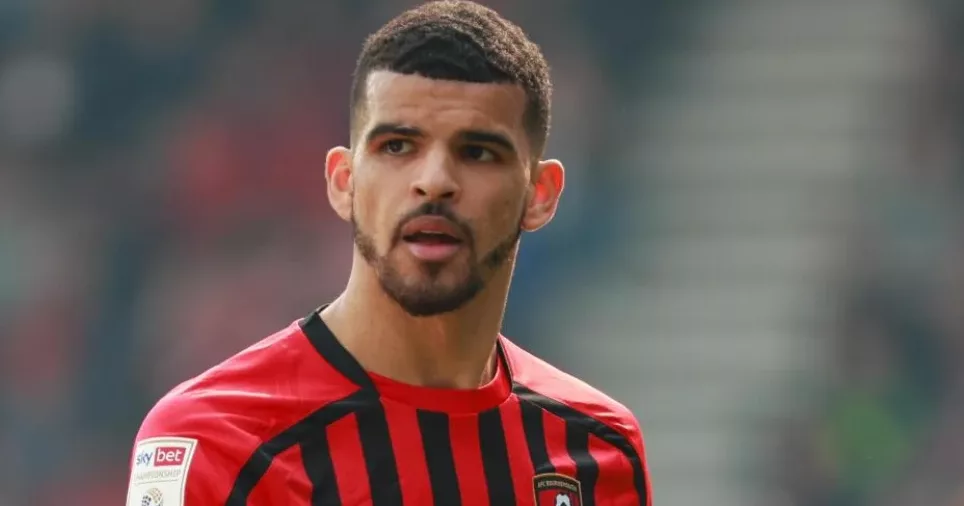 Fantasy Premier League Dominic Solanke (Bournemouth)