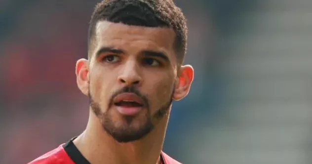 Fantasy Premier League Dominic Solanke (Bournemouth)