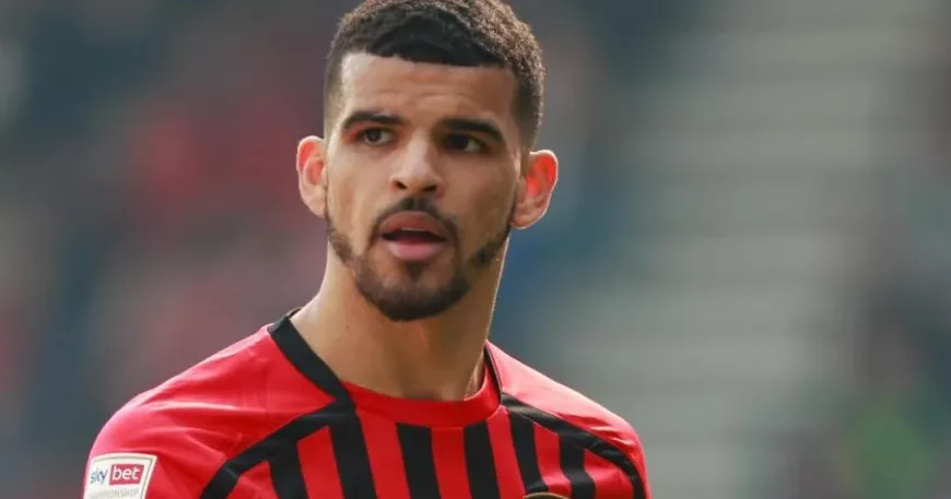 Fantasy Premier League Dominic Solanke (Bournemouth)