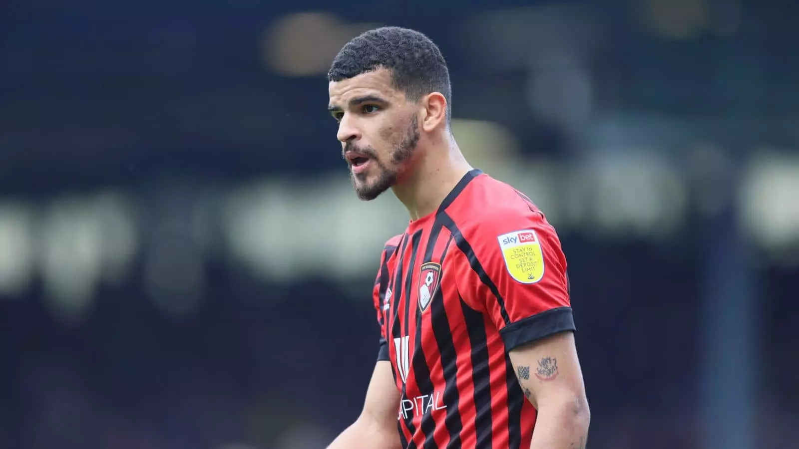 Dominic Solanke of Bournemouth continues to shine in the Fantasy Premier League