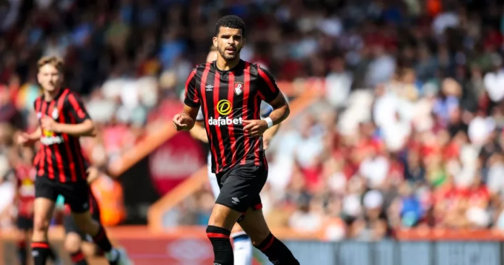 Solanke in Premier League action 
(Credits: Getty)