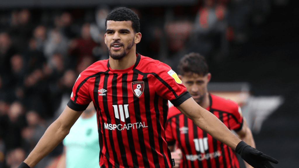 Dominic Solanke, Bournemouth