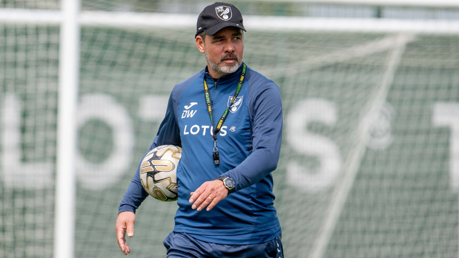 David Wagner issues Norwich City’s injury update ahead of crucial game against Leeds