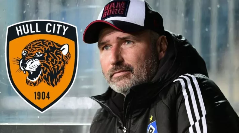 Tim Walter Hull City Acun Ilicali