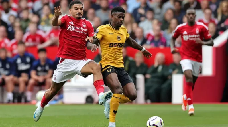 Nottingham Forest vs Wolves Player Ratings