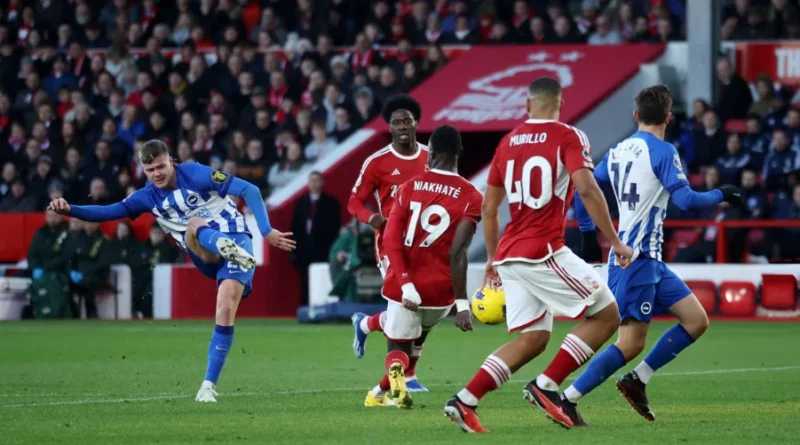 Brighton vs Nottm Forest Prediction, Preview, Lineups and Team News