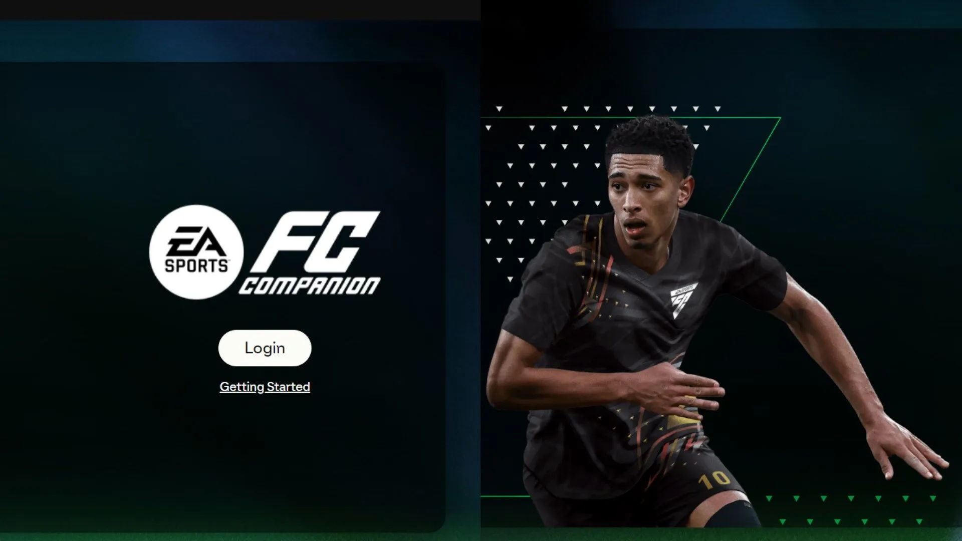 EA FC 25 Web App & Companion