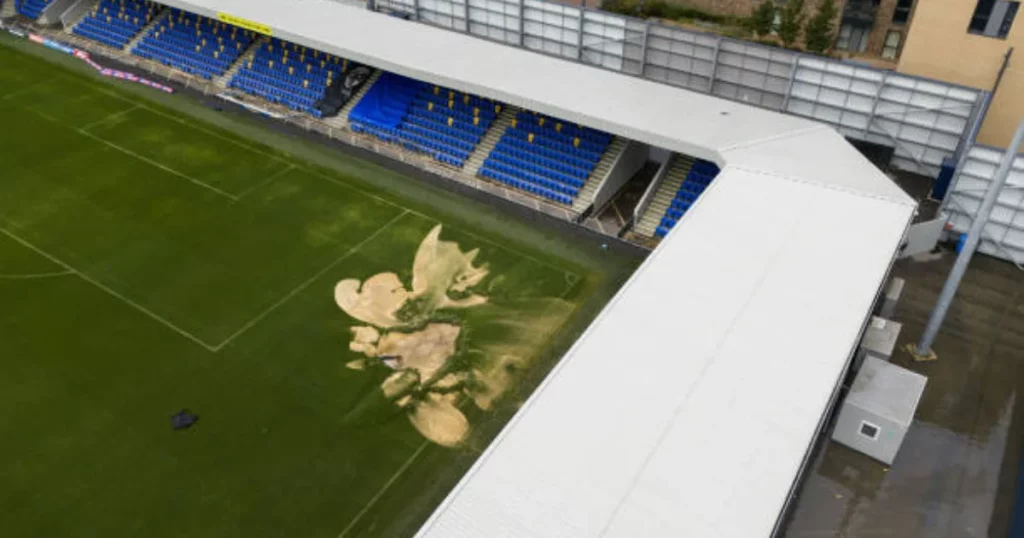 The state of the stadium 