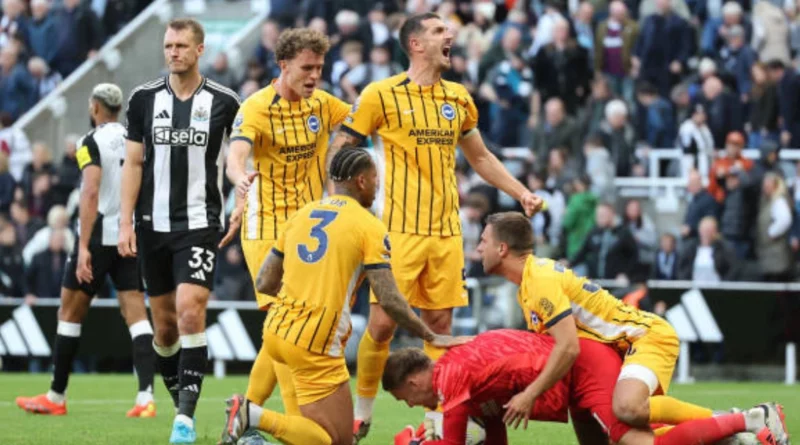 Newcastle United vs Brighton Player Ratings