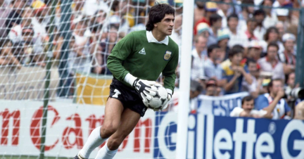 
Ubaldo Fillol 