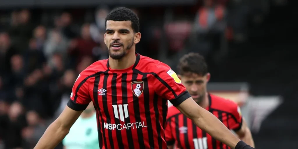 Dominic Solanke at Bournemouth