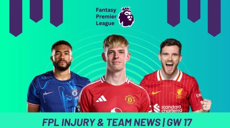 Fantasy Premier League GW 17