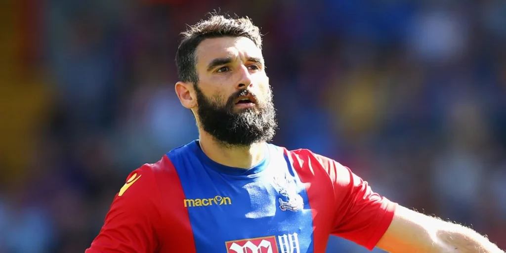 Mile Jedinak (Image Credits: Sky Sports)