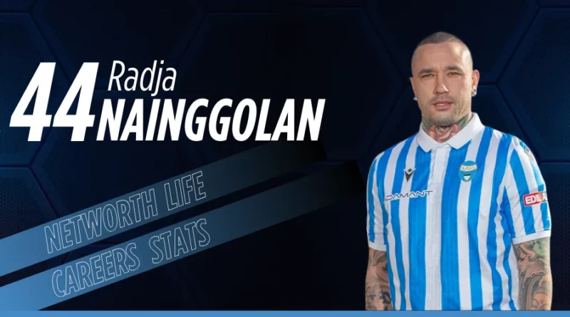 Radja Nainggolan Biography