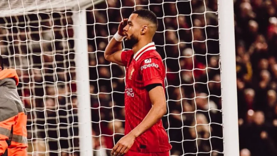 Cody Gakpo of Liverpool