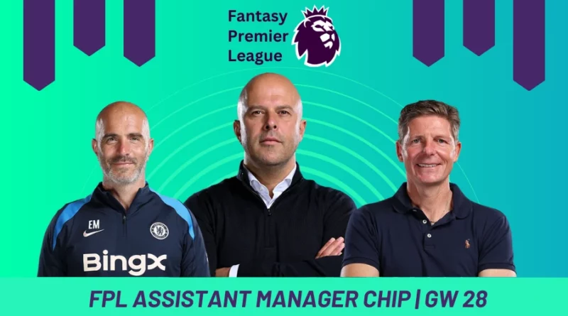 FPL Assistant Manager Chip GW28